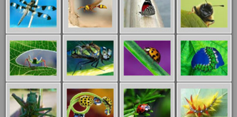 demo_thumbnail_gallery_preannounce